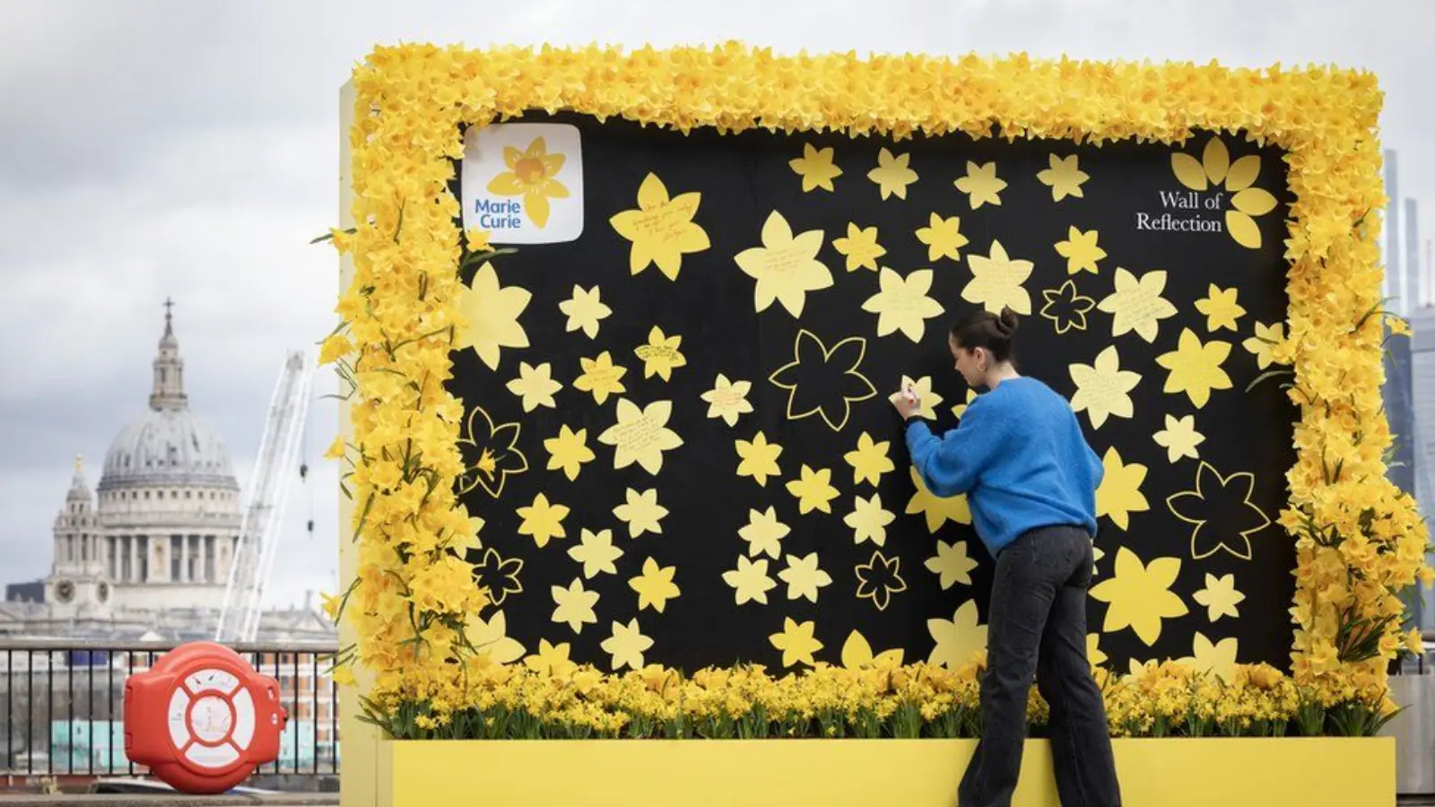 Marie Curie Wall Of Remembrance